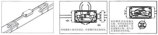 兩通接線盒圖展示