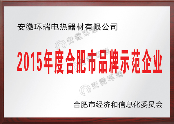 2015年度合肥市品牌示范企業(yè)