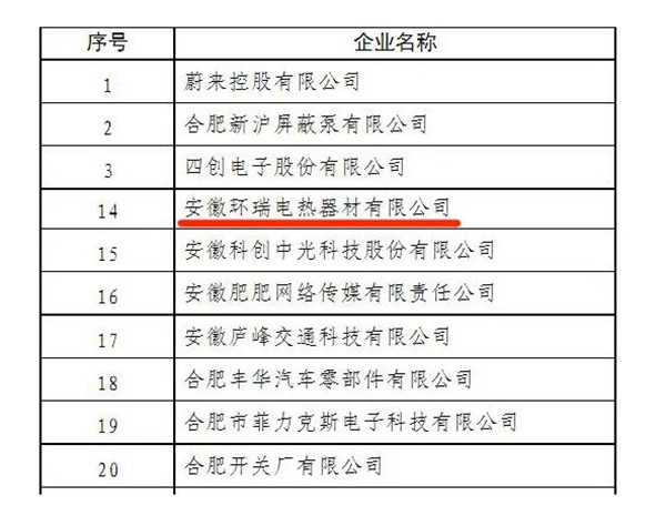 皖美品牌示范企業(yè)名單